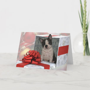Christmas Boston Terrier Wenskaart Feestdagen Kaart