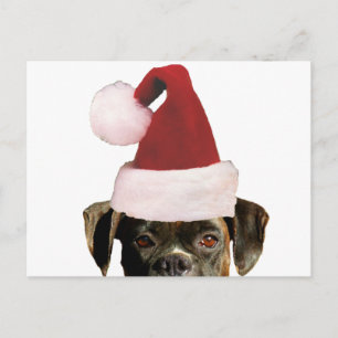 Christmas boxer briefkaart