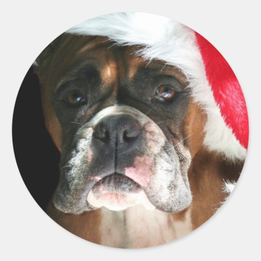 Christmas Boxer Dog stickers (Voorkant)