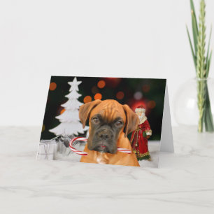 Christmas Boxer Dog Wenskaart Feestdagen Kaart