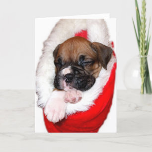 Christmas boxer puppy wenskaart feestdagen kaart
