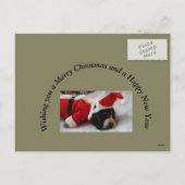 Christmas Briefkaart Basset Hound (Achterkant)