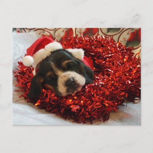 Christmas Briefkaart Basset Hound (Voorkant)