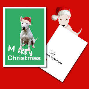 Christmas Bull Terrier Chien Merry Carte de voeux