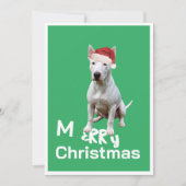 Christmas Bull Terrier Chien Merry Carte de voeux (Devant)