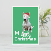 Christmas Bull Terrier Chien Merry Carte de voeux (Debout devant)