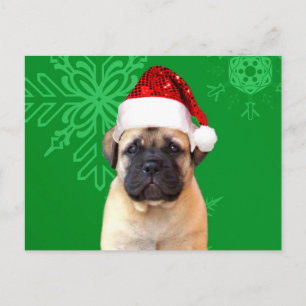 Christmas Bullmastiff puppy Feestdagenkaart