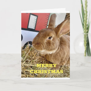 **CHRISTMAS BUNNY* SAY **MERRY CHRISTMAS ** AAN U FEESTDAGEN KAART