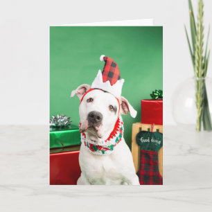 Christmas Card Kaart