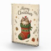 Christmas Cat in Stocking Fotoblokken (Rechts)