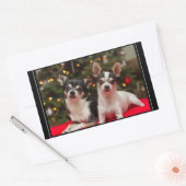 Christmas Chihuahua's Rechthoekige Sticker (Envelop)