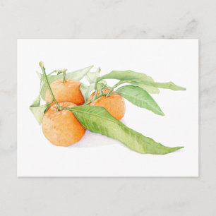 Christmas Clementines Briefkaart