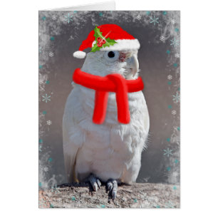 Christmas Cockatoo Card (Enter Your Own Message)