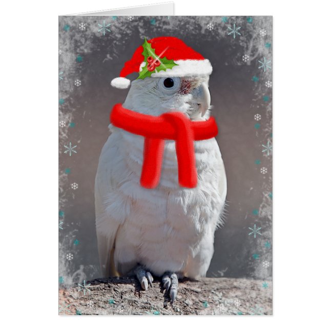 Christmas Cockatoo Card (Enter Your Own Message) (Devant)