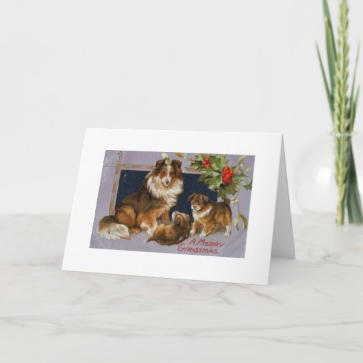  - Christmas Collie Dogs, Feestdagen Kaart (Voorkant)