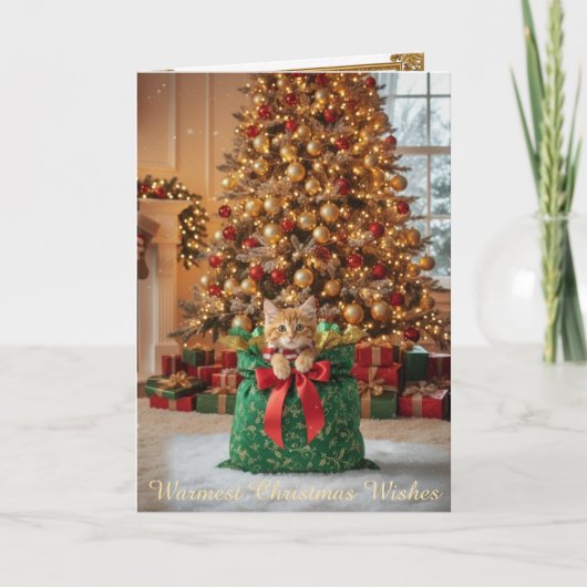 Christmas Decorative Card Feestdagen Kaart (Voorkant)
