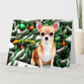 Christmas Dog Chihuahua Kaart (Voorkant)