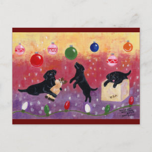 Christmas Dreaming Black Lab Feestdagenkaart