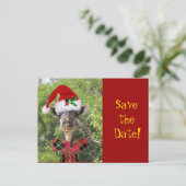 Christmas Giraffe Aankondigingskaart (Staand voorkant)