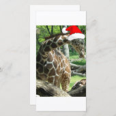 Christmas Giraffe Feestdagenkaart (Voorkant / Achterkant)