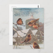 CHRISTMAS GREETINGS five robins on take Briefkaart (Voorkant / Achterkant)