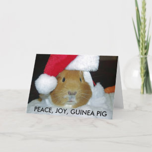 CHRISTMAS GUINEA CARTE DE POIDS