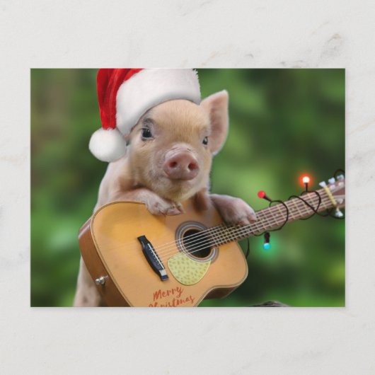 Christmas guitar pig briefkaart (Voorkant)