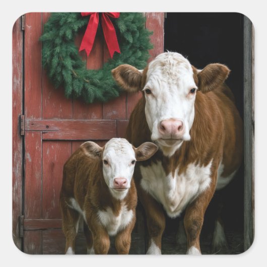 Christmas Hereford Cow and Calf Vierkante Sticker (Voorkant)