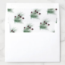 Christmas Holly Berry Struik