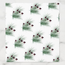 Christmas Holly Berry Struik