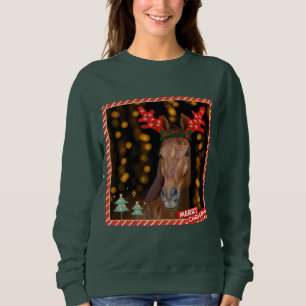 christmas horsie sweater
