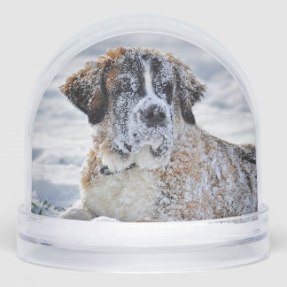 Christmas, Keepsake, or Memorial Custom Pet Photo Sneeuwbol