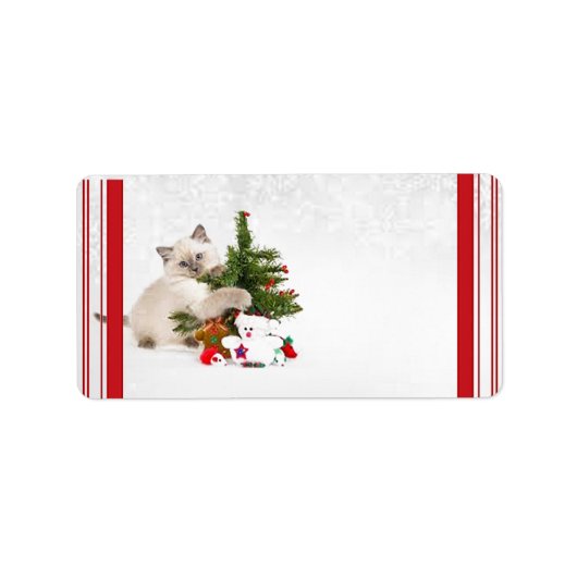 Christmas Kitty Étiquettes de adresse (Devant)
