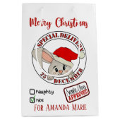 Christmas konijn speciale levering voeg naam toe medium cadeauzakje (Voorkant)