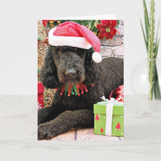 Christmas - LabraDoodle - Miller Feestdagen Kaart (Voorkant)