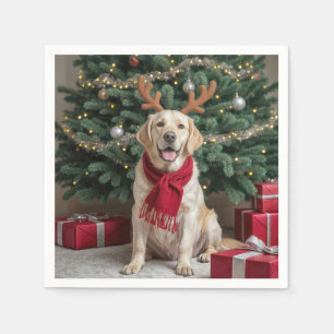 Christmas Labrador Retriever met gewei Servet