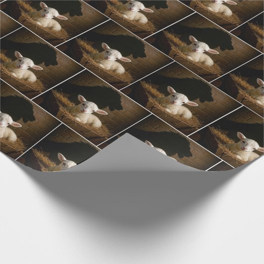 Christmas Lamb In a Manger With Lion Shadow Cadeaupapier (Hoek)