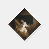Christmas Lamb In a Manger With Lion Shadow Servet (Hoek)