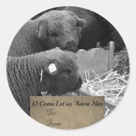 Christmas Lambs Label