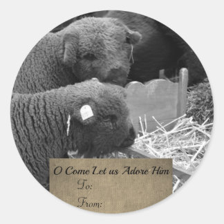 Christmas Lambs Label