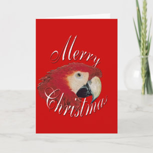 Christmas Macaw Feestdagen Kaart