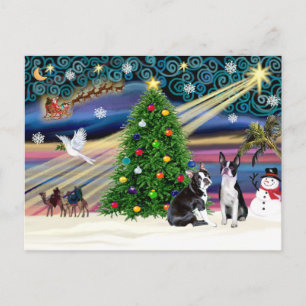 Christmas Magic-Boston Terrier (2) Feestdagenkaart