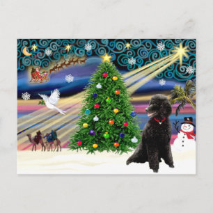 Christmas Magic Poodle (zwarte standaard) Feestdagenkaart