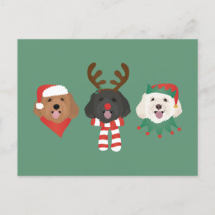 Christmas Maltipoo Honden Briefkaart