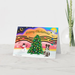 -Christmas Music 2 - Border Collie (bruin-wit) Feestdagen Kaart