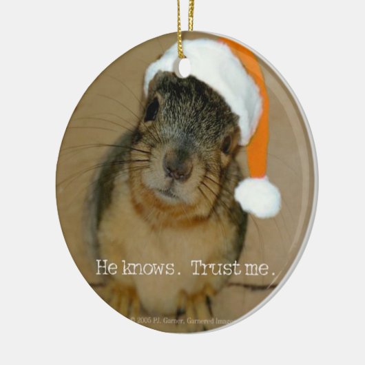 Christmas Ornament (Links)