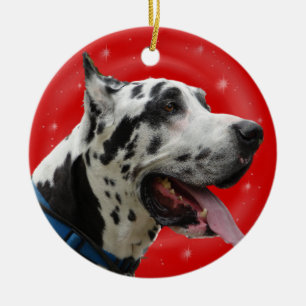 CHRISTMAS ORNAMENT HARLEQUIN GREAT DANE