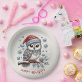 Christmas Owl Holiday Paper Bord (Feest)