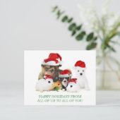 Christmas Pets Briefkaart (Staand voorkant)