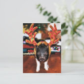 Christmas Pig Briefkaart (Staand voorkant)